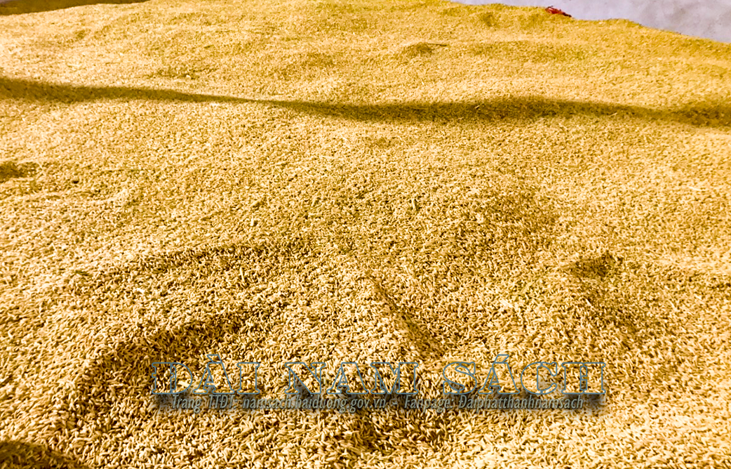 z5536060963969_a5255b71627e0fc1eb1bc1d946873262.jpg.png
